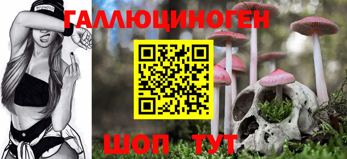 Галлюциногенные грибы Cubensis  Вход с VPN  Гусь-Хрустальный 